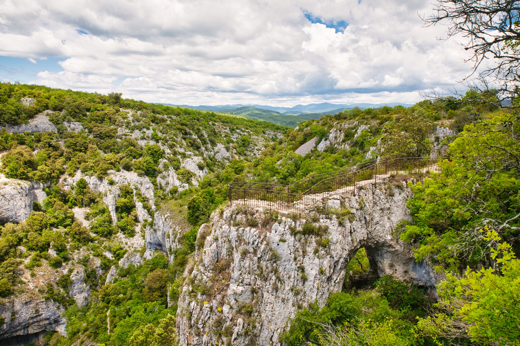 Vue panoramique sur les gorges et paysages de l'Ardèche